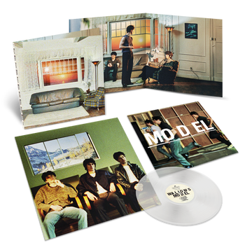 Model - Clear Vinyl